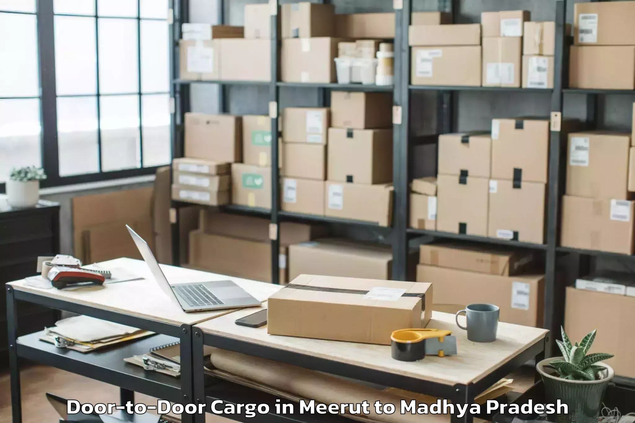 Book Meerut to Multhan Door To Door Cargo Online